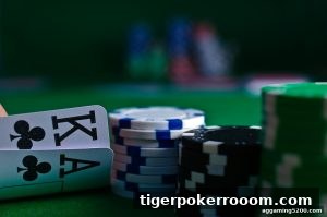 AG真人 tigerpokerrooom