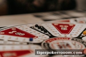 AG真人 tigerpokerrooom