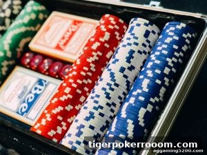 AG真人 tigerpokerrooom